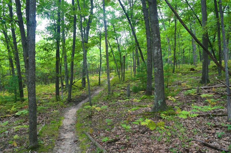 North Country Trail (Big M)